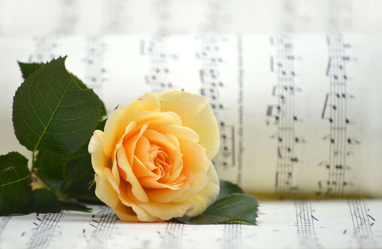 Flowers for an off-broadway debut