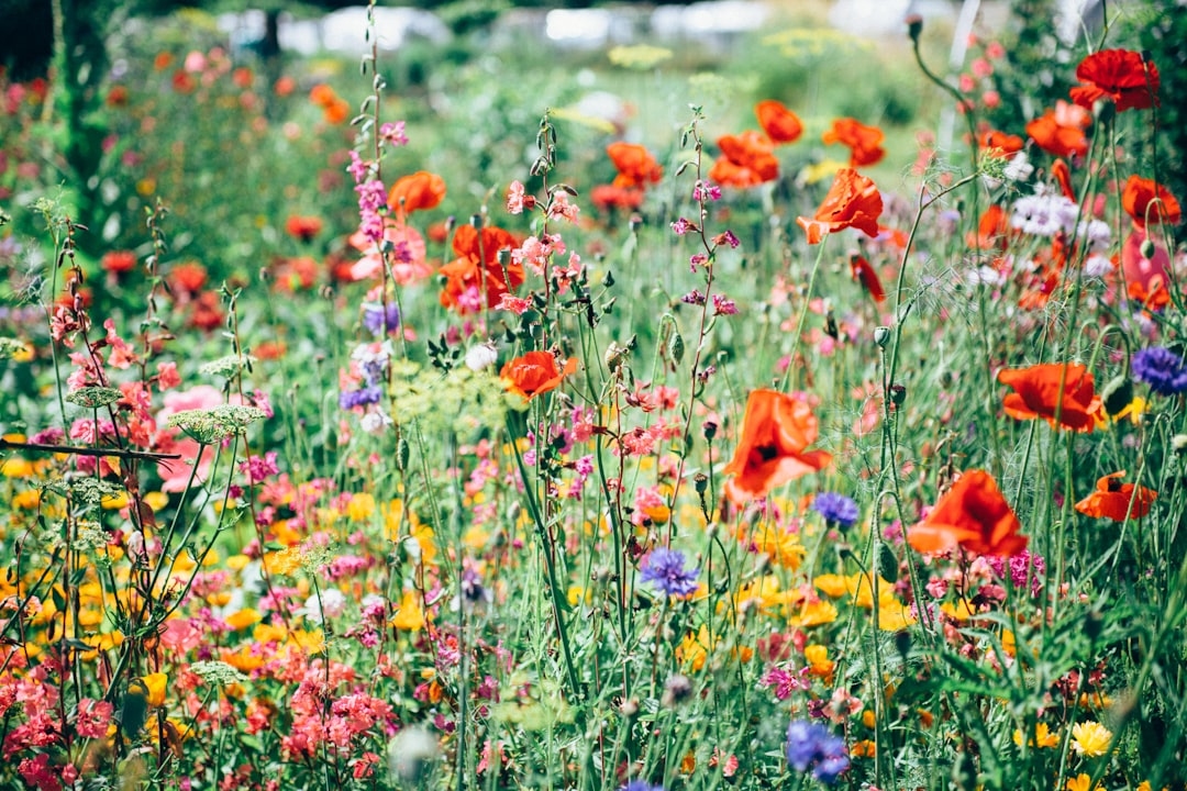 Which flowers cause the worst hay fever