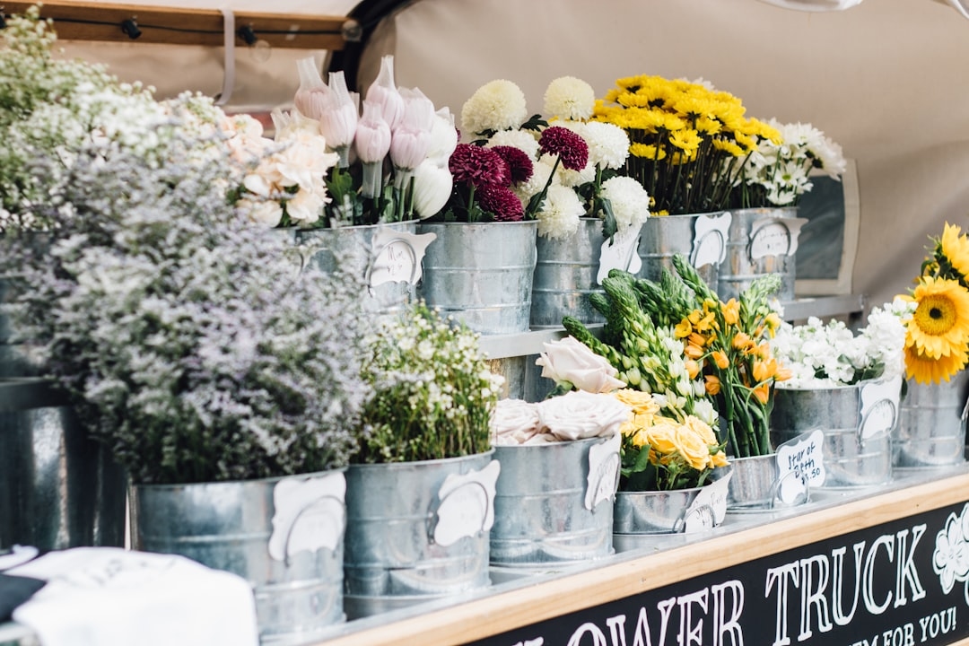 Flower coolers home use – top picks