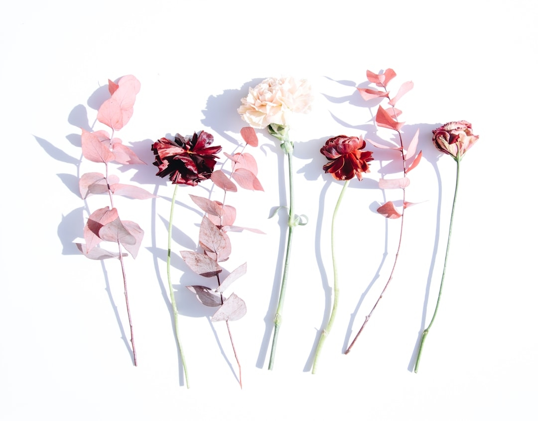 The psychology of color in floral arrangements
