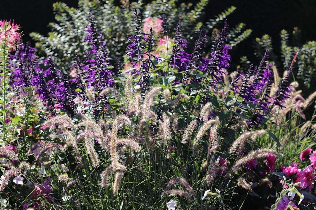 Low-allergen substitutes for fragrant favorites
