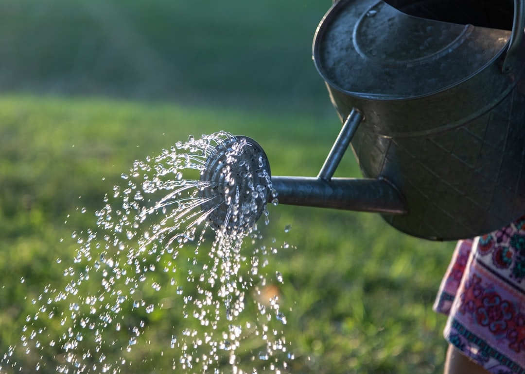 Why hard water shortens flower life